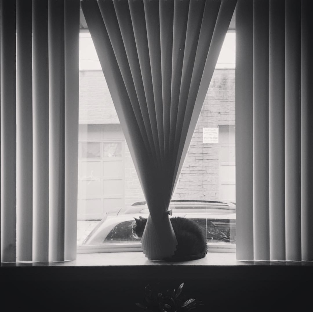 Vertical Blinds — Wallace basic or Norman Synchrony premium